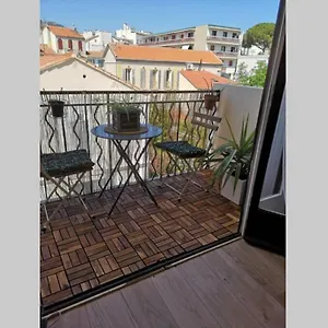  Appartement Studio Jungle Au Mourillon